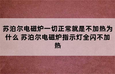 苏泊尔电磁炉一切正常就是不加热为什么 苏泊尔电磁炉指示灯全闪不加热